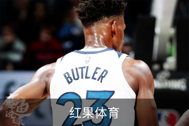 红果体育企业介绍